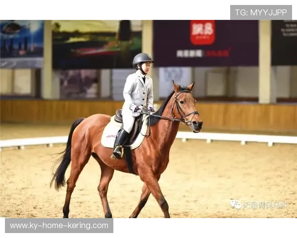 葡萄牙马术协会引入智能马鞍系统，实现实时数据监测与分析，提升骑乘体验。